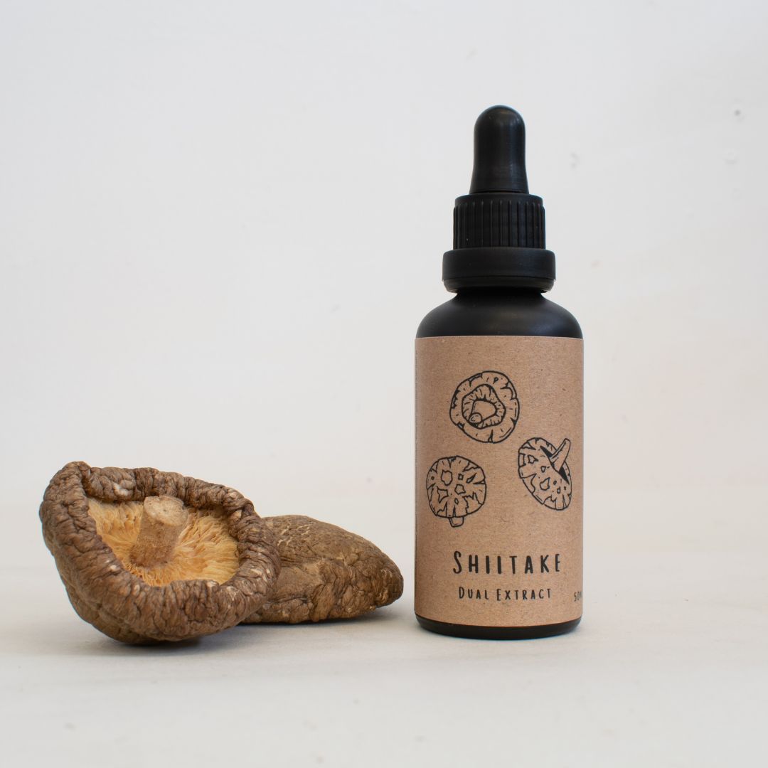Shiitake Dual Extract