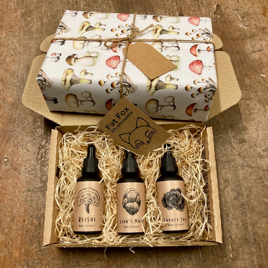 Mushroom Tincture Bundle - Lion's Mane, Turkey Tail, Reishi