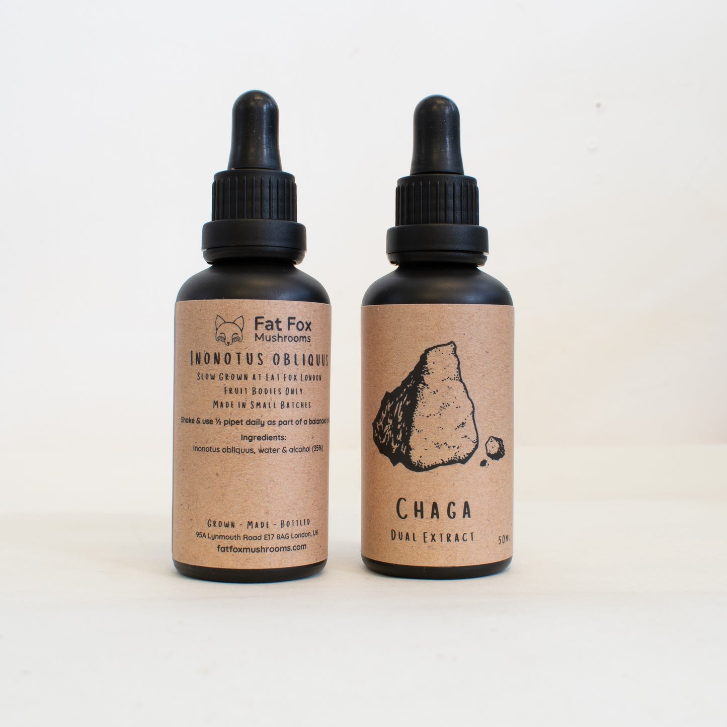 Chaga dual-extract tincture made by Fat Fox Mushrooms.