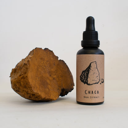 Chaga dual-extract tincture made by Fat Fox Mushrooms.