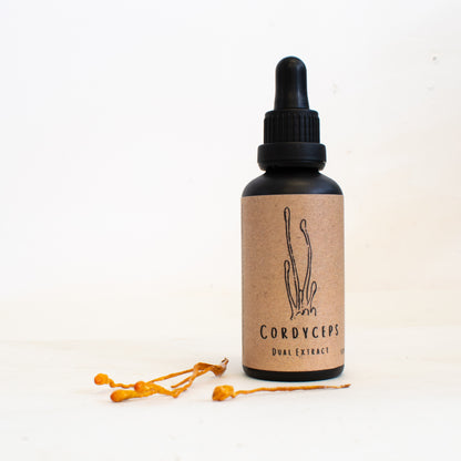 Cordyceps dual-extract tincture made by Fat Fox Mushrooms.