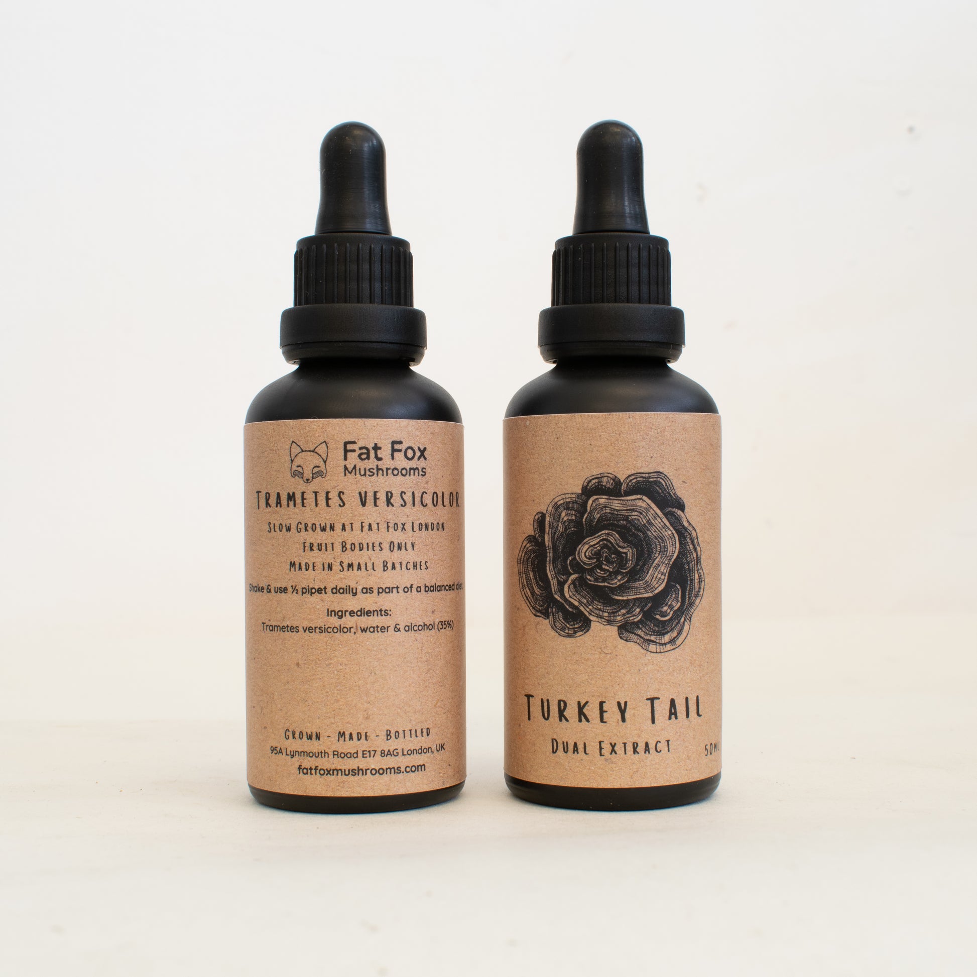 Trametes versicolor dual-extract tinctures made by Fat Fox Mushrooms.