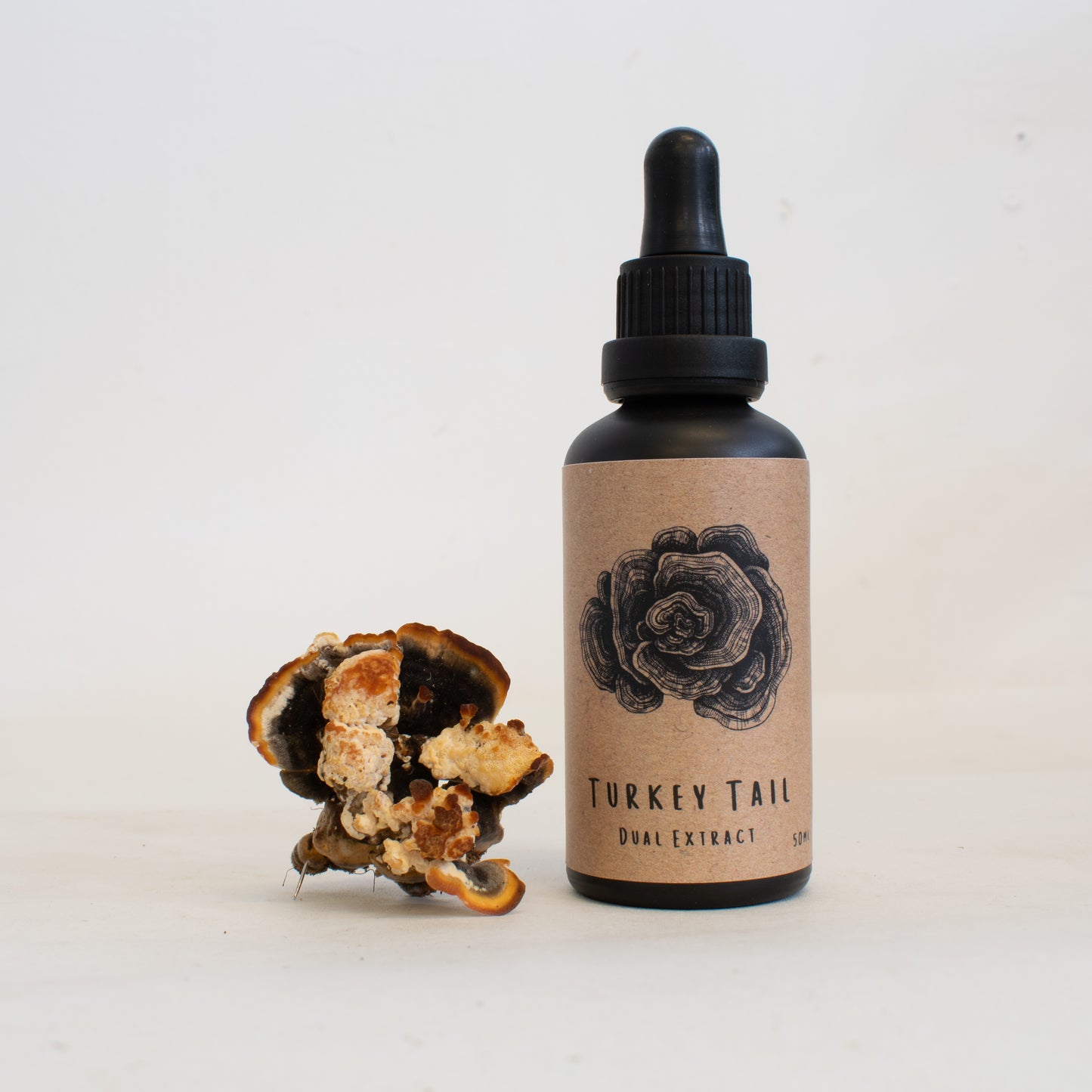 Tramates veersicolor dual-extract tincture made by Fat Fox Mushrooms.