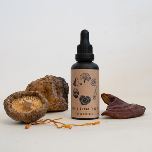 Multi-fungi dual-extract tincture made by Fat Fox Mushrooms.