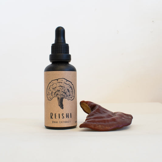 Reishi dual-extract tincture made by Fat Fox Mushrooms.